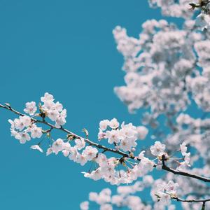 大学生操逼免费视频
